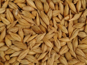 Экспорт нижегородской сельхозпродукции увеличился на 44%