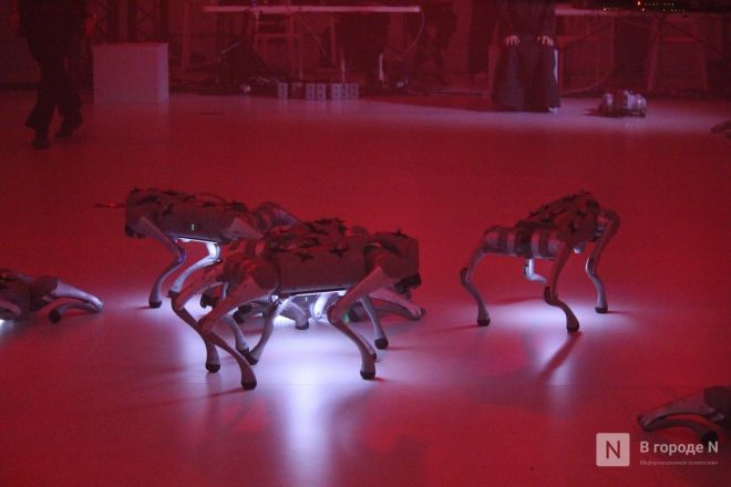 Просто вау: фоторепортаж со всех локаций INTERVALS &mdash; 2025 в Нижнем Новгороде - фото 8