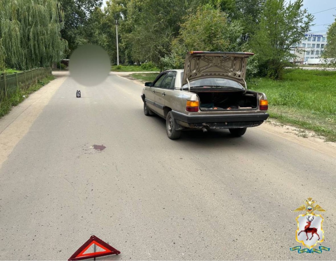 Иномарка сбила восьмилетнюю девочку в Нижегородской области - фото 1